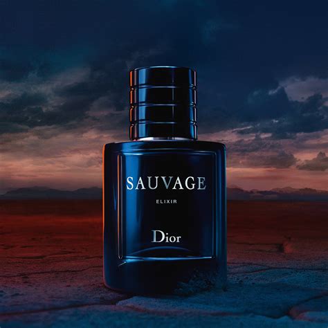 perfume that smells like dior sauvage|best version of dior sauvage.